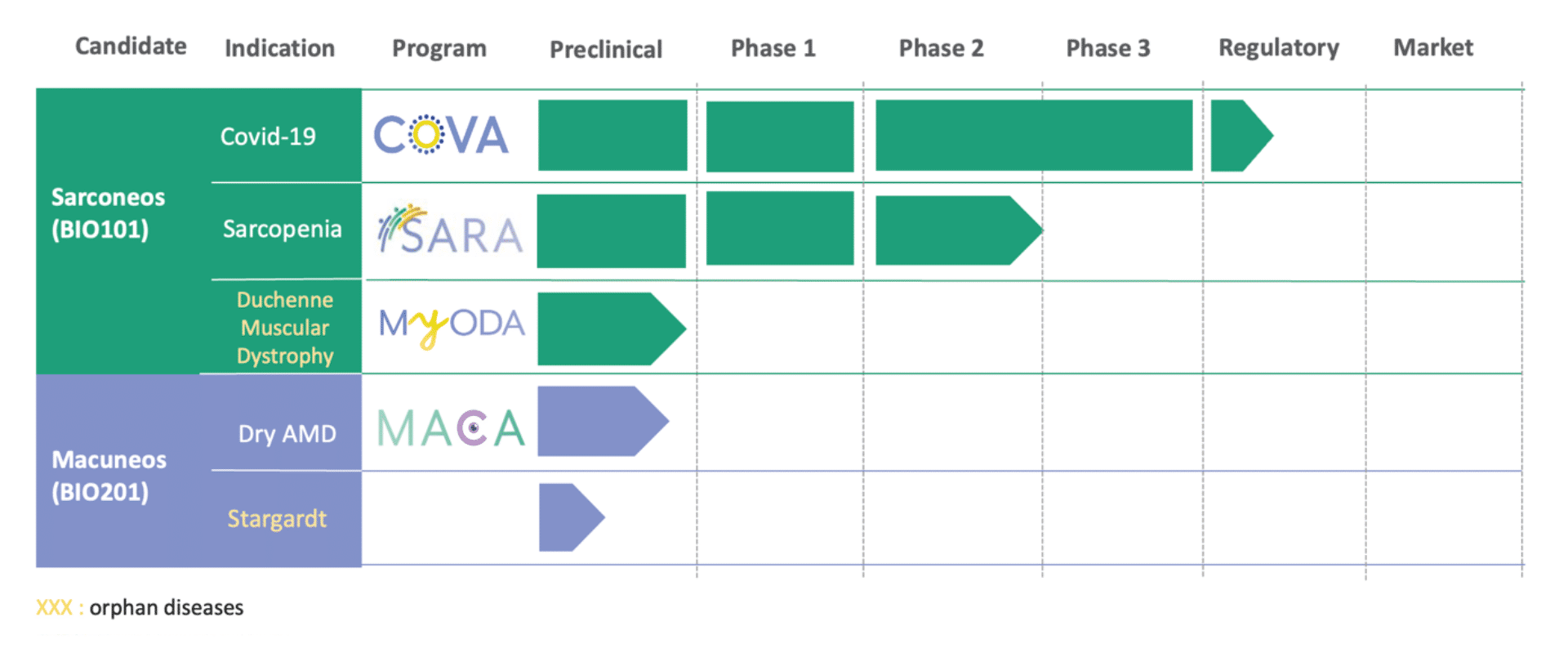 2023-06 pipeline biophytis english
